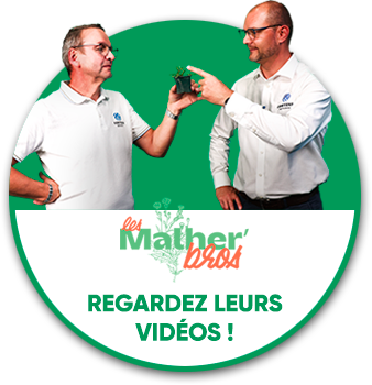 Les Malhber'Bros